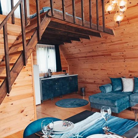 Cinarhan Villas Ağva Buitenkant foto